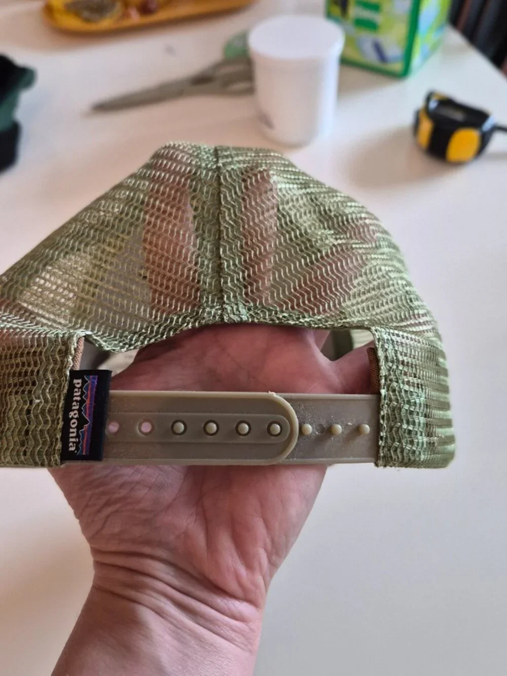 Patagonia adjustable trucker